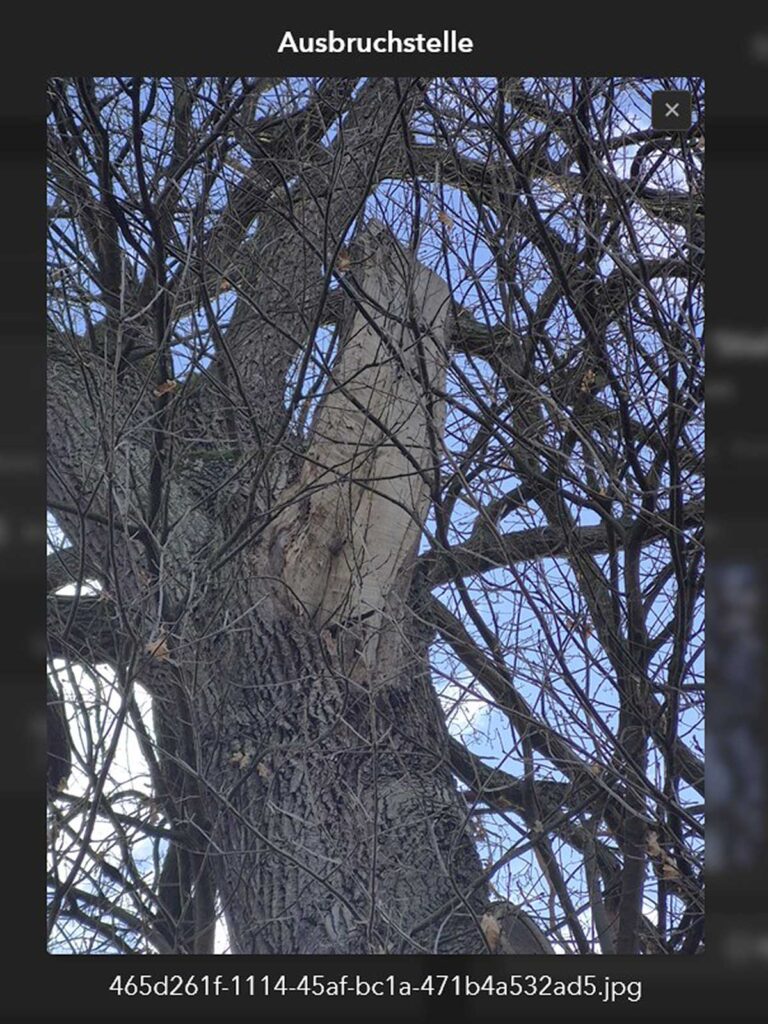 Faktor-Baum-HOS-Ausbruchstelle
