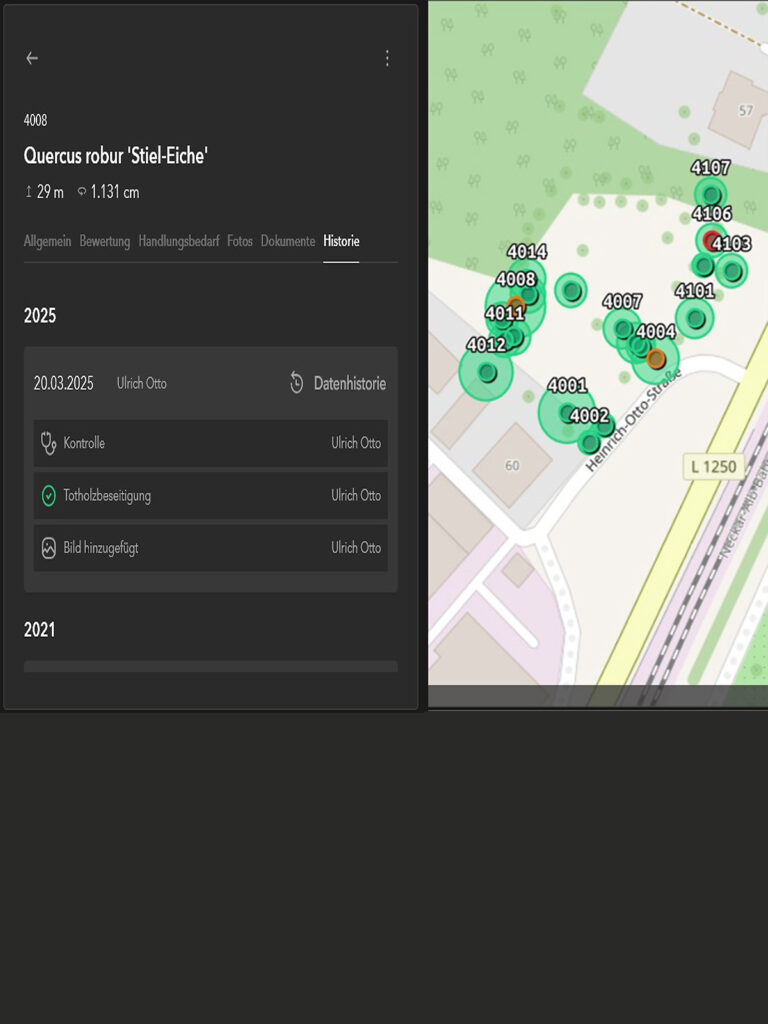Faktor-Baum-HOS-Totholzbeseitigung